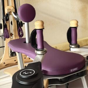 ELEMENTS® cover for Gyrotonic Tower plum colour silicone leather